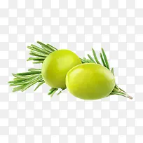 橄榄-空若网 橄榄-空若网