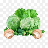 一把包菜和黄瓜-空若网 一把包菜和黄瓜-空若网