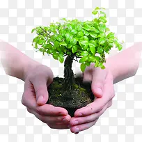 高清摄影绿色草本植物手势-空若网 高清摄影绿色草本植物手势-空若网