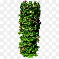 高清摄影效果合成绿色草本植物-空若网 高清摄影效果合成绿色草本植物-空若网