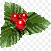 绿色草本植物水果摄影-空若网 绿色草本植物水果摄影-空若网