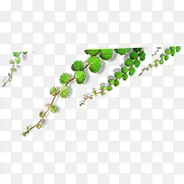 ����ݱ�ֲ��������Ӱ-������