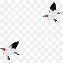 ˮī�ŵ�С��ɰ�-������