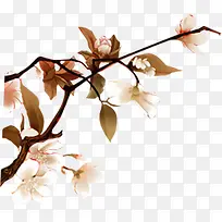 ÊÖ»æÁ¢ÌåÊ÷ÉÏ»¨±ÚÖ½-¿ÕÈôÍø ÊÖ»æÁ¢ÌåÊ÷ÉÏ»¨±ÚÖ½-¿ÕÈôÍø