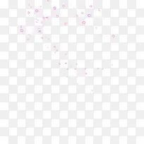 �λ÷�ɫʥ���ڹ�Ч-������