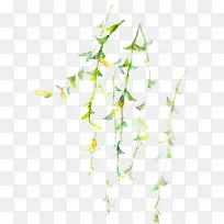 ���´���ֲ����֦-������