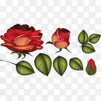 �л���԰õ�������-������