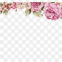 手绘花-空若网 手绘花-空若网