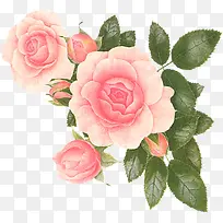 ÊÖ»æ²å»»¨¶äÉè¼Æ-¿ÕÈôÍø ÊÖ»æ²å»»¨¶äÉè¼Æ-¿ÕÈôÍø