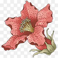 夏日插画卡通花朵-空若网 夏日插画卡通花朵-空若网