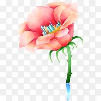 插画海报手绘夏日花朵-空若网 插画海报手绘夏日花朵-空若网