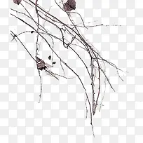 枯瘦树枝-空若网 枯瘦树枝-空若网