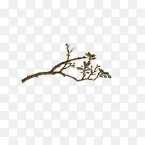 树枝树杈-空若网 树枝树杈-空若网