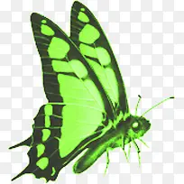 �������ɫ������-������