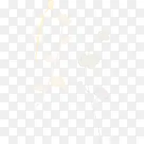 创意淡彩花卉展板-空若网 创意淡彩花卉展板-空若网