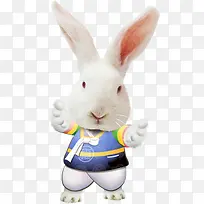 手绘兔子创意展板-空若网 手绘兔子创意展板-空若网