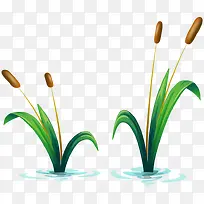 手绘水草-空若网 手绘水草-空若网