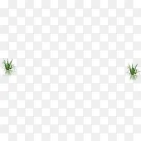 ������Ӱ��ˮ���ˮ��-������