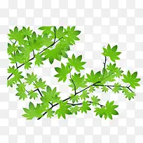 ��Ȼֲ��Ҷ�б�ֲ��-������