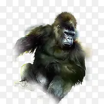 动物-空若网 动物-空若网