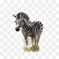 ¶¯Îï-¿ÕÈôÍø ¶¯Îï-¿ÕÈôÍø