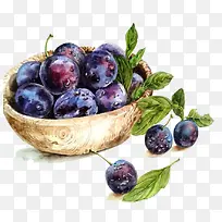 水彩蓝莓-空若网 水彩蓝莓-空若网