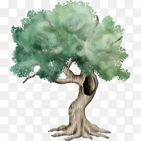 ˮ����-������