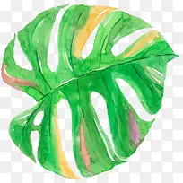 Ë®²ÊרéµÒ¶×Ó-¿ÕÈôÍø Ë®²ÊרéµÒ¶×Ó-¿ÕÈôÍø