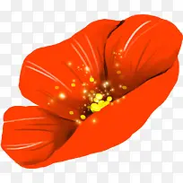 橙色美丽开放花朵-空若网 橙色美丽开放花朵-空若网