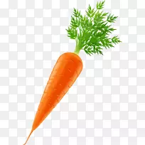 �߲˺��ܲ�������-���-������