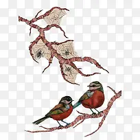 树枝上的鸟与蜘蛛-空若网 树枝上的鸟与蜘蛛-空若网