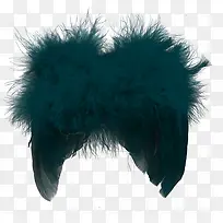 翅膀-空若网 翅膀-空若网