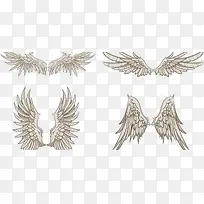 ��ɫ���-������