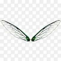 恶魔翅膀蝴蝶翅膀-空若网 恶魔翅膀蝴蝶翅膀-空若网