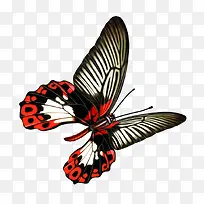 ����-������