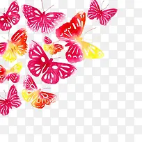 创意蝴蝶-空若网 创意蝴蝶-空若网