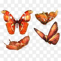 ��ɫ����������-������