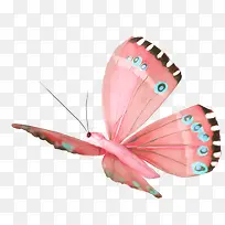 蝴蝶红色翅膀黑边蝴蝶-空若网 蝴蝶红色翅膀黑边蝴蝶-空若网