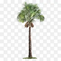 �����-������