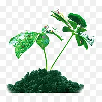 春天清新树岛-空若网 春天清新树岛-空若网