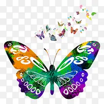 ���� ����Ԫ�� ˮ��-������