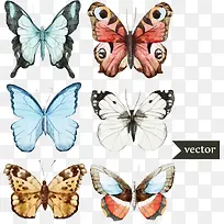 �������-������