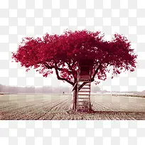 花树愿-空若网 花树愿-空若网