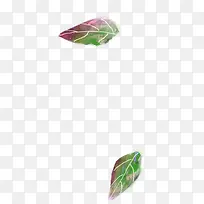 ��ɫ���䴴����Ҷ-������