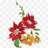 切花红剪艺术-花卉-空若网 切花红剪艺术-花卉-空若网