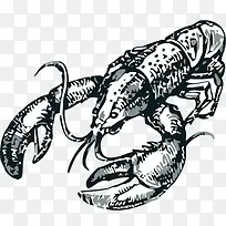 矢量手绘龙虾素材-空若网 矢量手绘龙虾素材-空若网