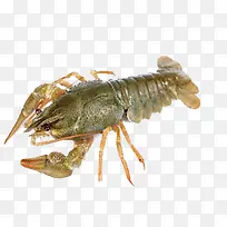 С��Ϻ-������