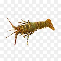 ��Ϻ ʳ�� ҹ�� ��Ϻ-������