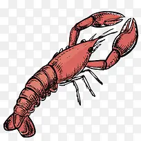 �ֻ���Ϻ-������