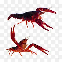 龙虾 食物 夜宵 大虾-空若网 龙虾 食物 夜宵 大虾-空若网